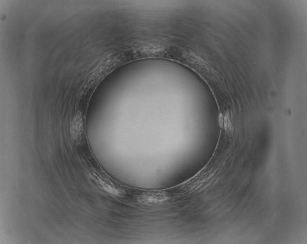 X0000070391299200606231727