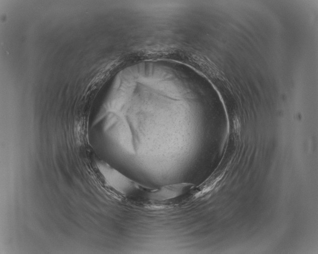 X0000070391300200606231727