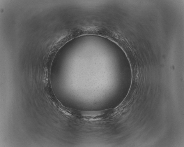 X0000070391301200606231727