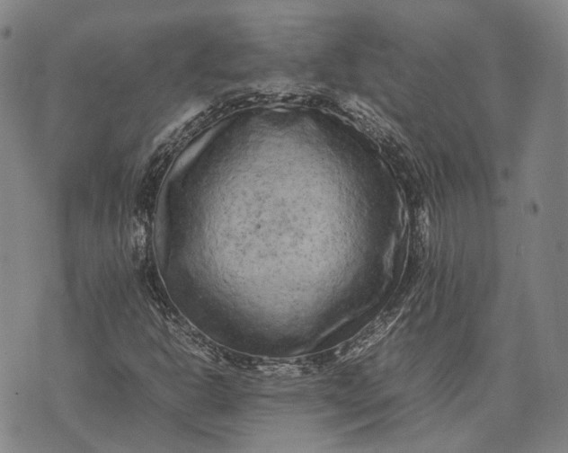 X0000070391302200606231727