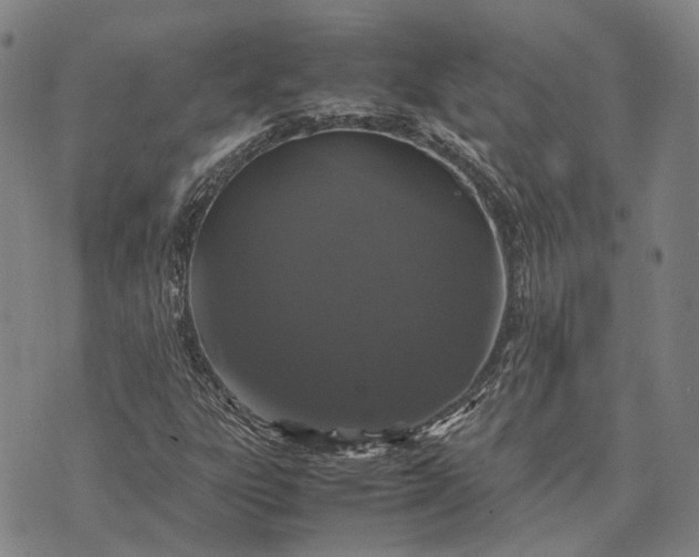 X0000070391303200606231727