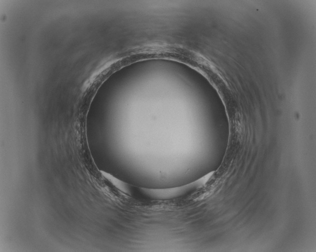 X0000070391304200606231727