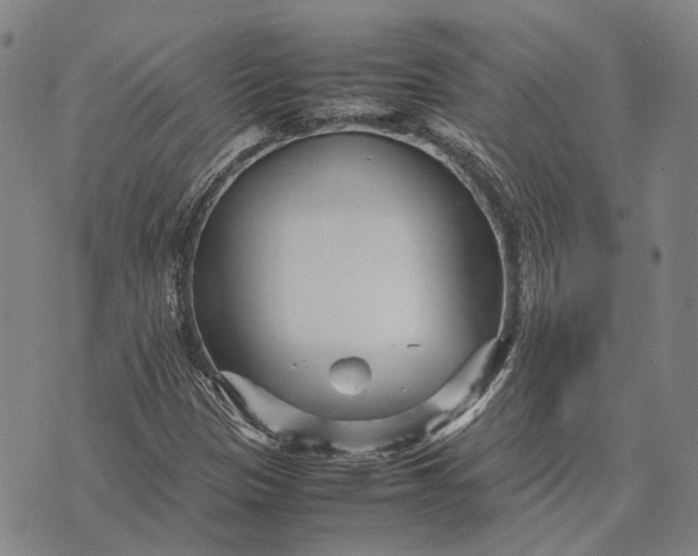 X0000070391305200606231727