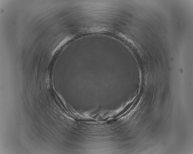 X0000070391306200606231727