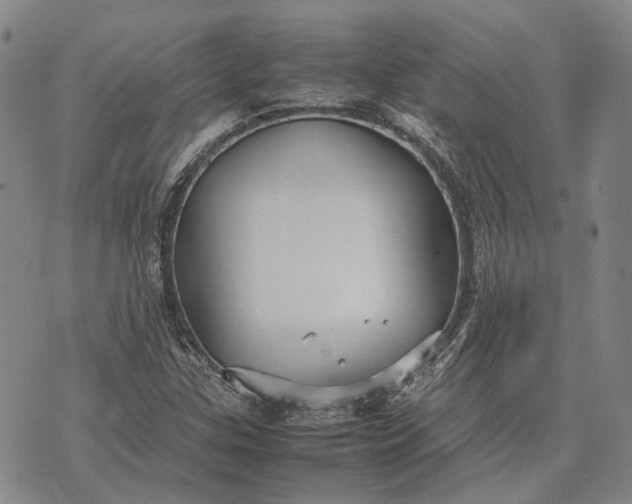 X0000070391307200606231727