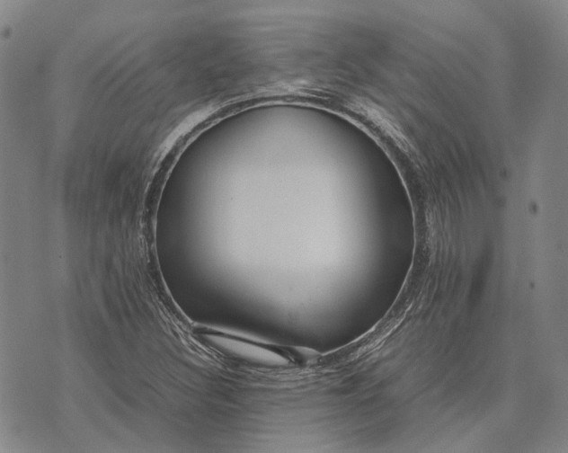 X0000070391308200606231727