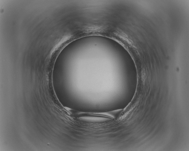 X0000070391309200606231727