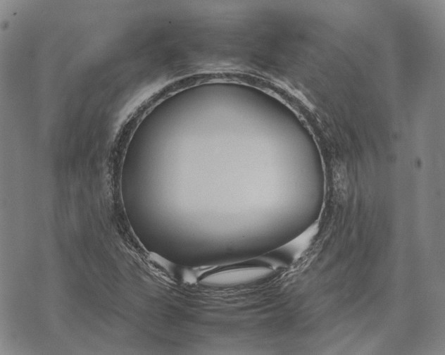 X0000070391311200606231727