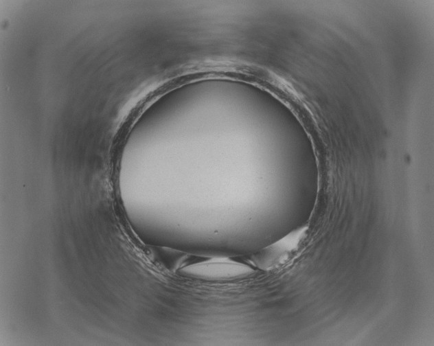 X0000070391312200606231727