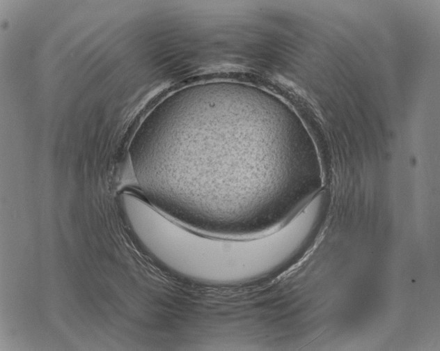 X0000070391313200606231727