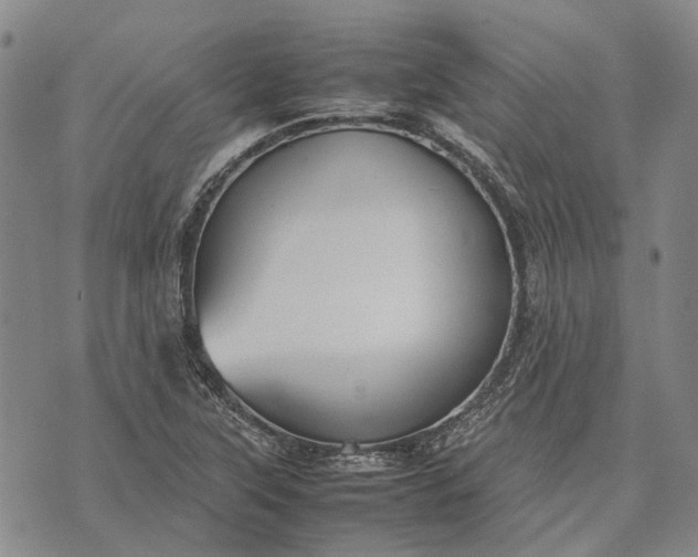 X0000070391315200606231727