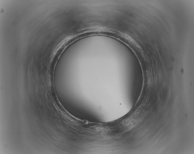 X0000070391318200606231727