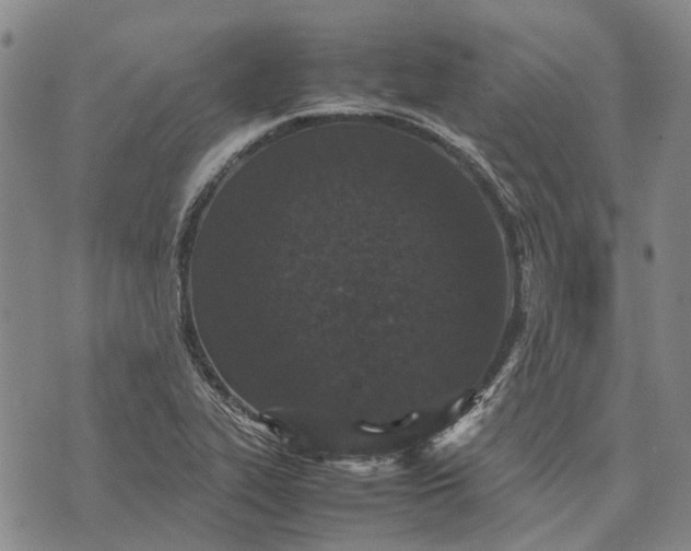 X0000070391319200606231727