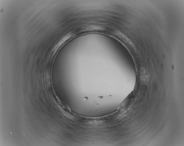 X0000070391321200606231727