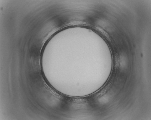 X0000070391322200606231728