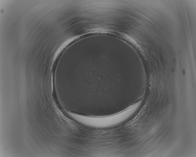 X0000070391323200606231728