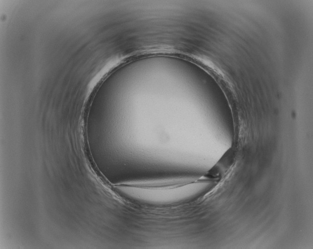 X0000070391325200606231728