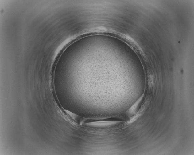 X0000070391326200606231728