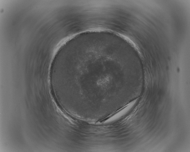 X0000070391327200606231728