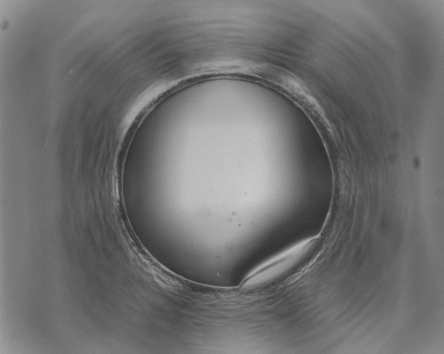 X0000070391328200606231728