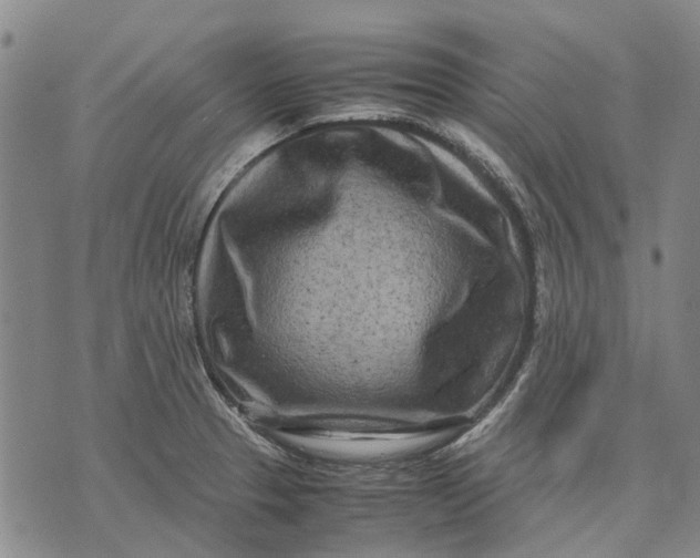 X0000070391329200606231728