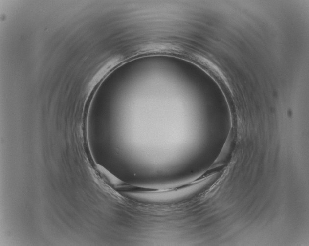 X0000070391330200606231728