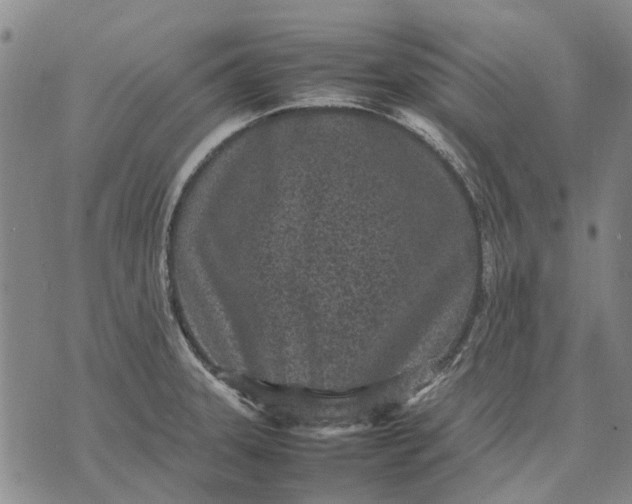 X0000070391331200606231728