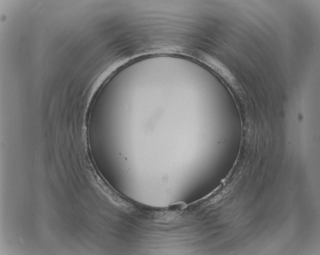 X0000070391332200606231728