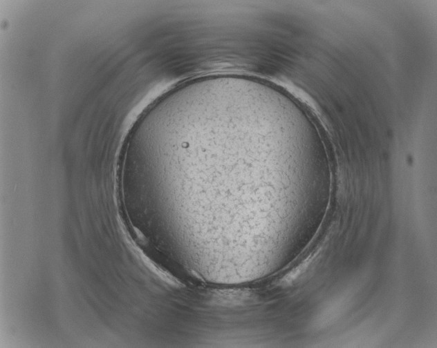 X0000070391333200606231728