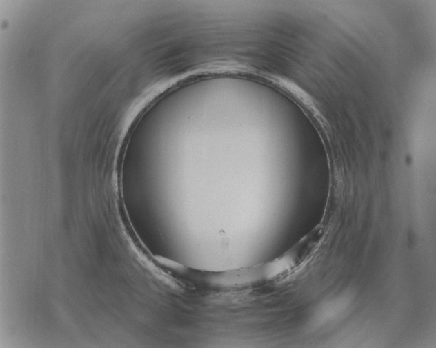 X0000070391335200606231728