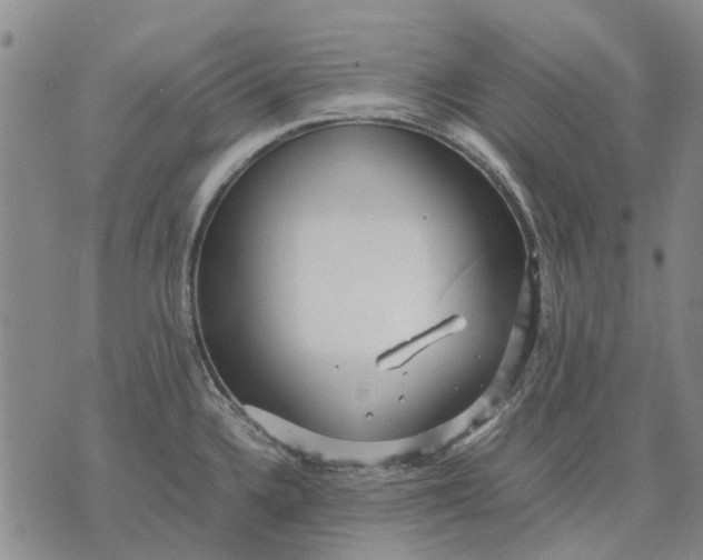 X0000070391336200606231728