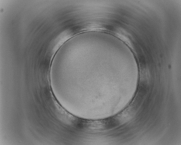 X0000070391338200606231728