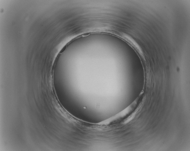 X0000070391340200606231728