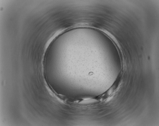 X0000070391341200606231728