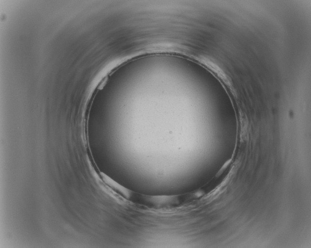 X0000070391342200606231728