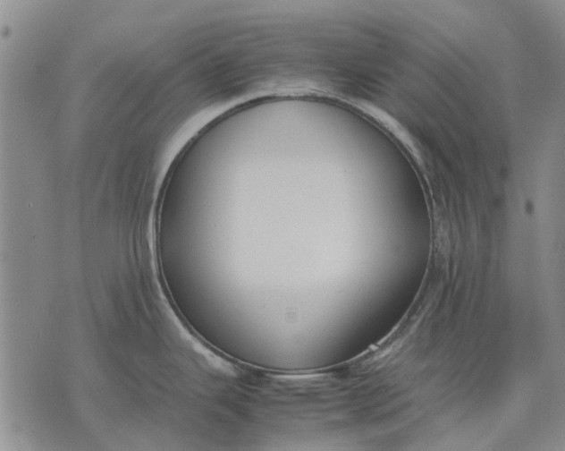 X0000070391343200606231728