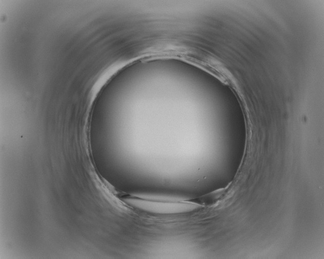 X0000070391344200606231728