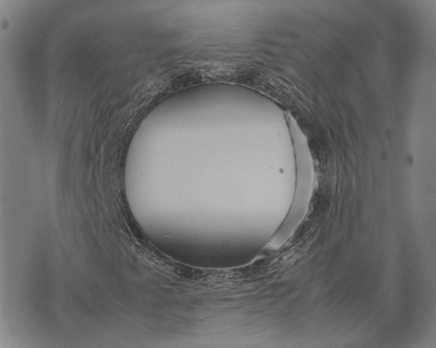 X0000070391345200606231727