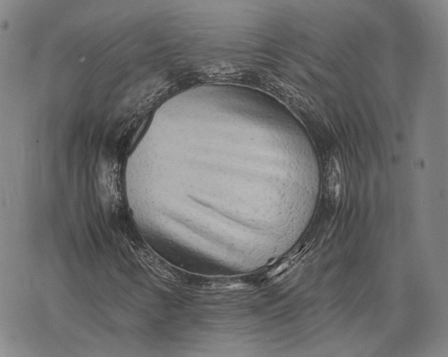 X0000070391346200606231727