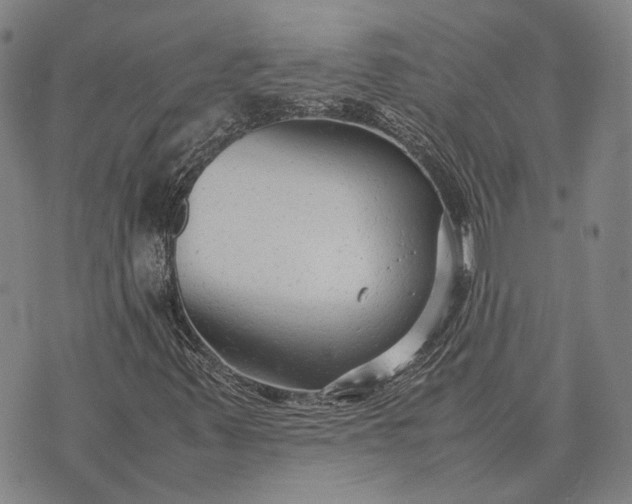 X0000070391347200606231727