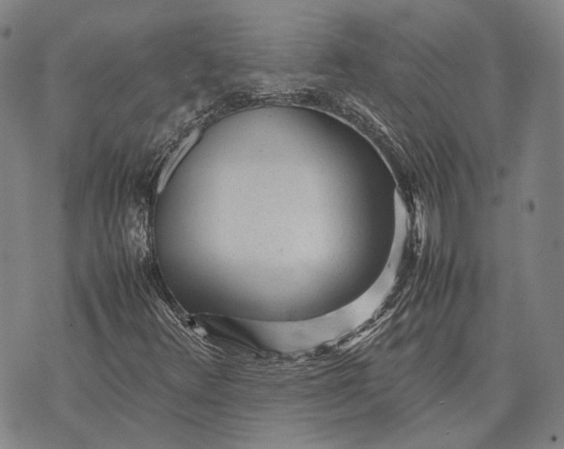 X0000070391348200606231727