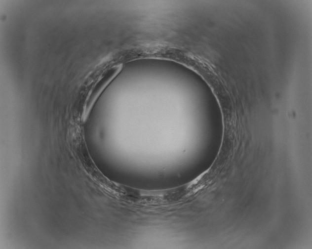 X0000070391349200606231727