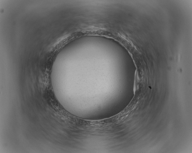 X0000070391350200606231727