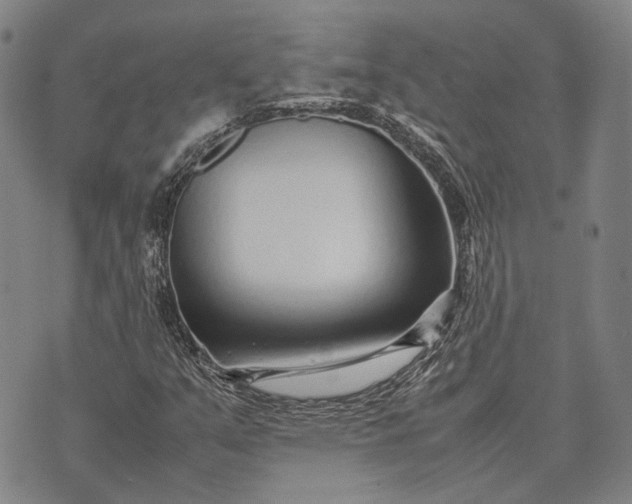 X0000070391351200606231727