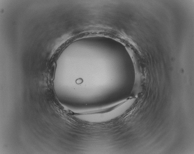 X0000070391352200606231727