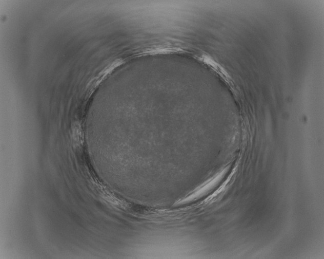 X0000070391353200606231727