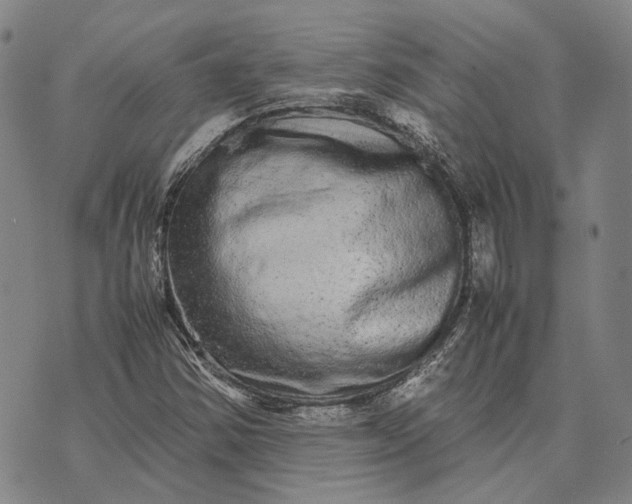 X0000070391354200606231727