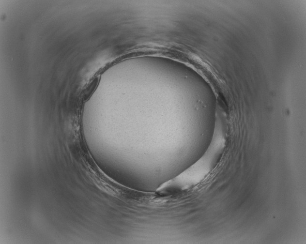 X0000070391355200606231727