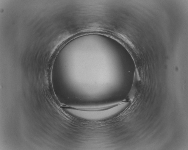 X0000070391356200606231727