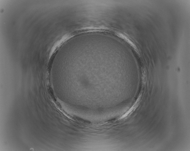 X0000070391357200606231727